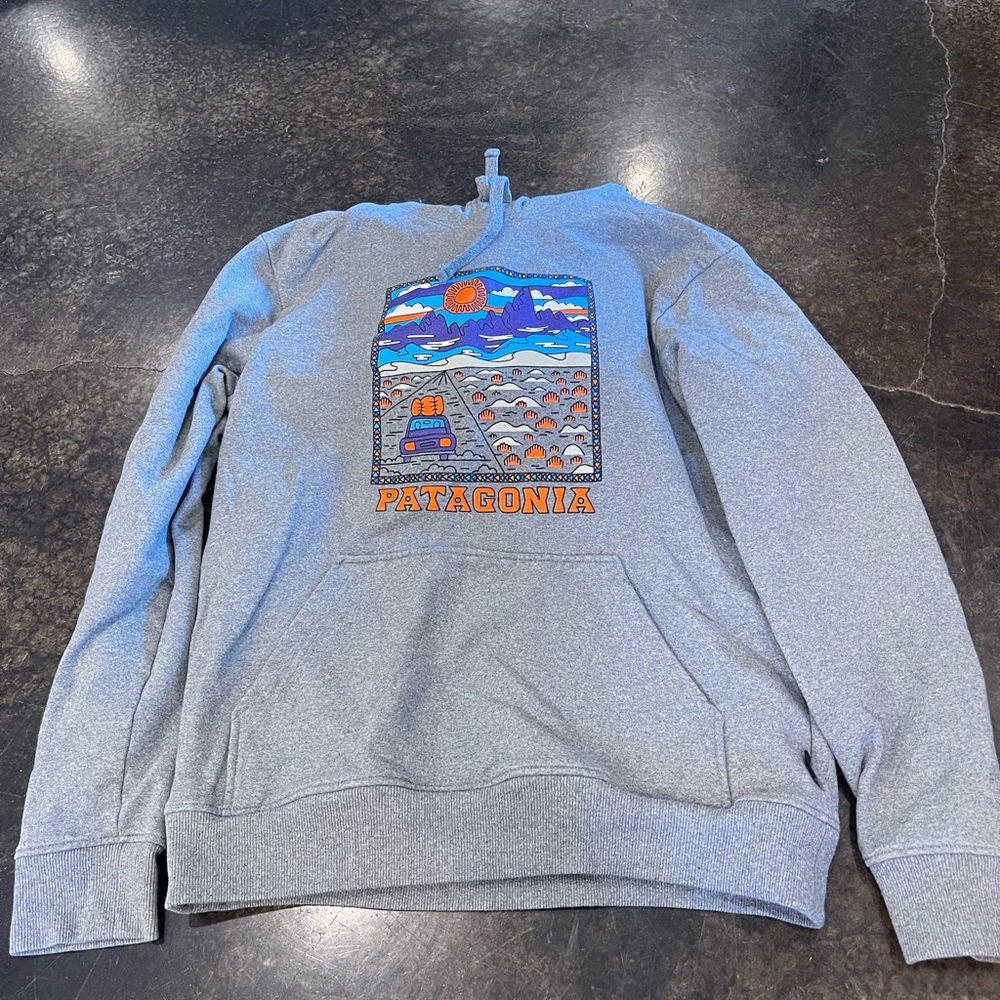 Patagonia Sweatshirt with Hoodie